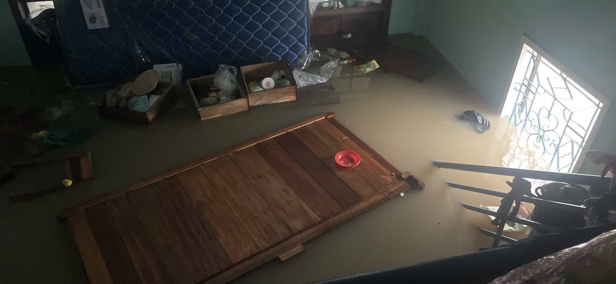 351067987679156293 (1)