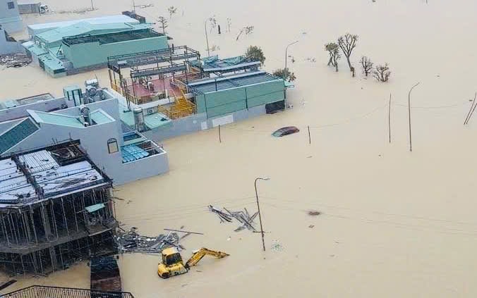 Lực lượng chức n