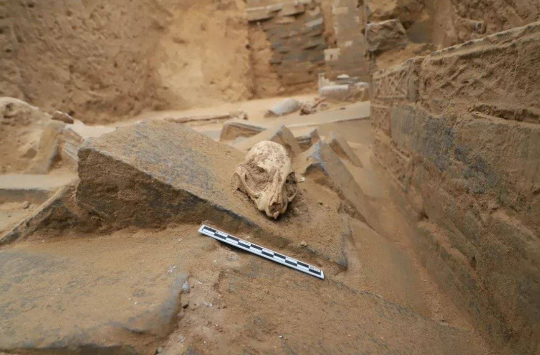 Képernyőkép 2025-11-29 211123