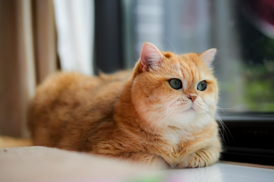 Képernyőkép 2025-11-29 211708