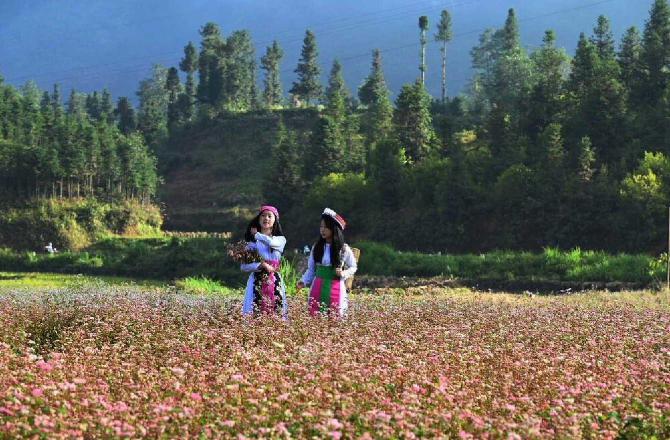 Ảnh màn hình 2025-11-30 lúc 06.47.51