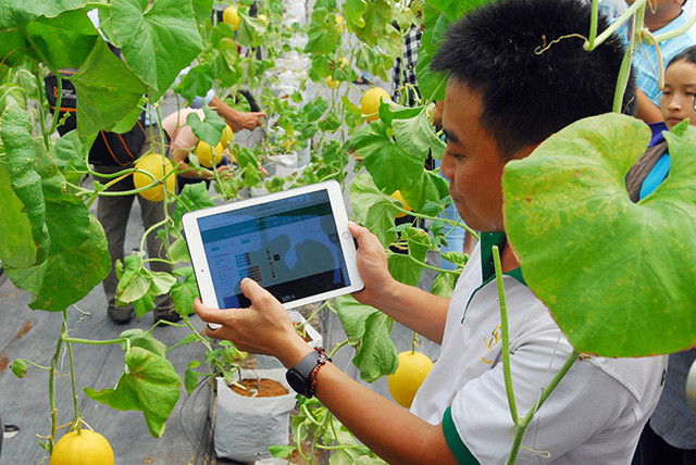 Hình ảnh: Xây dựng, triển khai chương trình hỗ trợ chuyển đổi số cho hợp tác xã ngay trong năm 2026 số 1