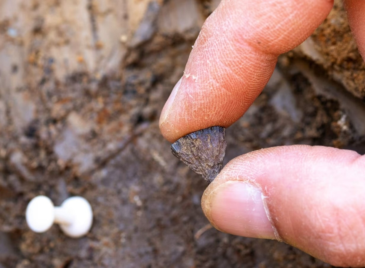 Ein Stück Pyrit-Eisenerz wurde erstmals 2017 an einem Fundort in Barnham, Suffolk, entdeckt. Jordan Mansfield