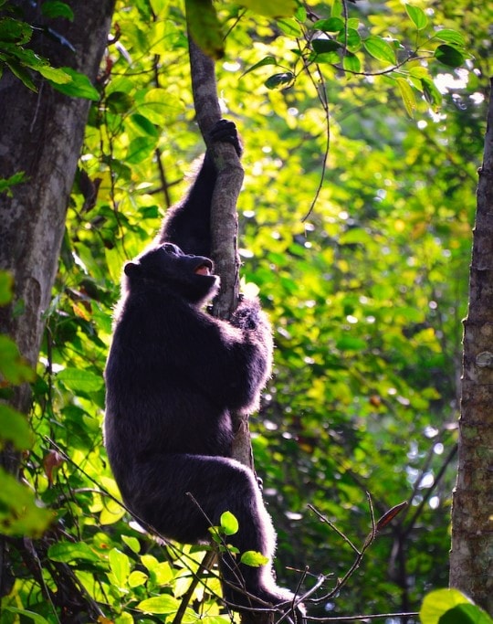 រូបថតអេក្រង់ 2025-12-15 230740