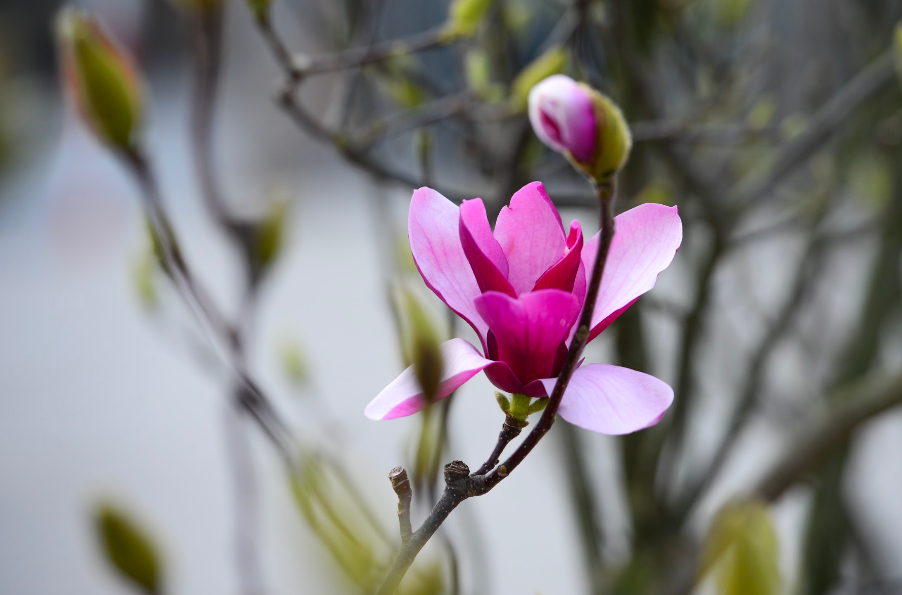 Знімок екрана зроблено 16.12.2025 о 22.03.51