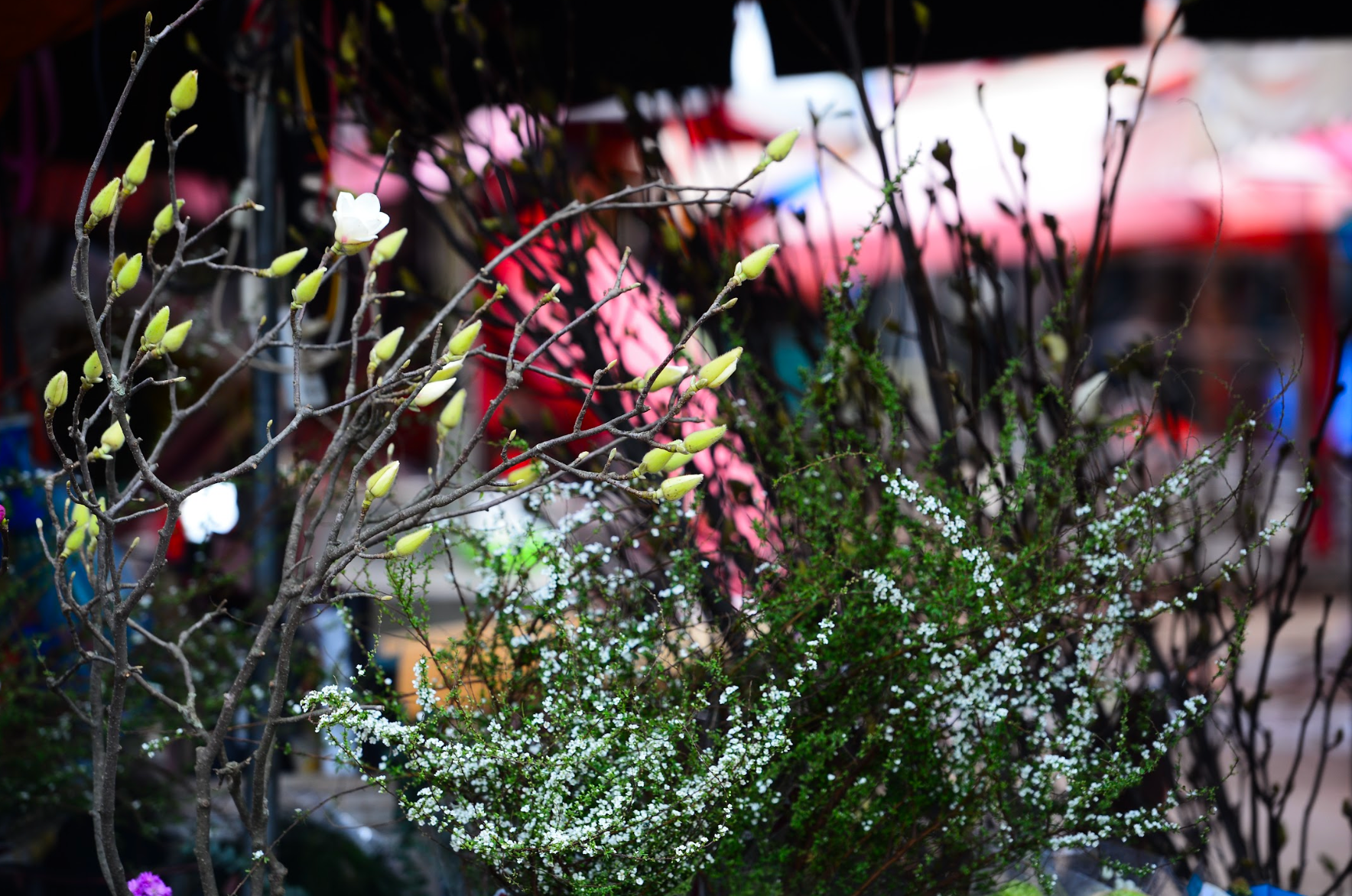 Знімок екрана зроблено 16.12.2025 о 22.04.08