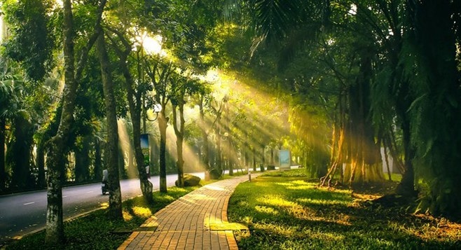 Dự báo thời tiết ngày 21/12: Bắc Bộ và Thanh Hóa hửng nắng ấm