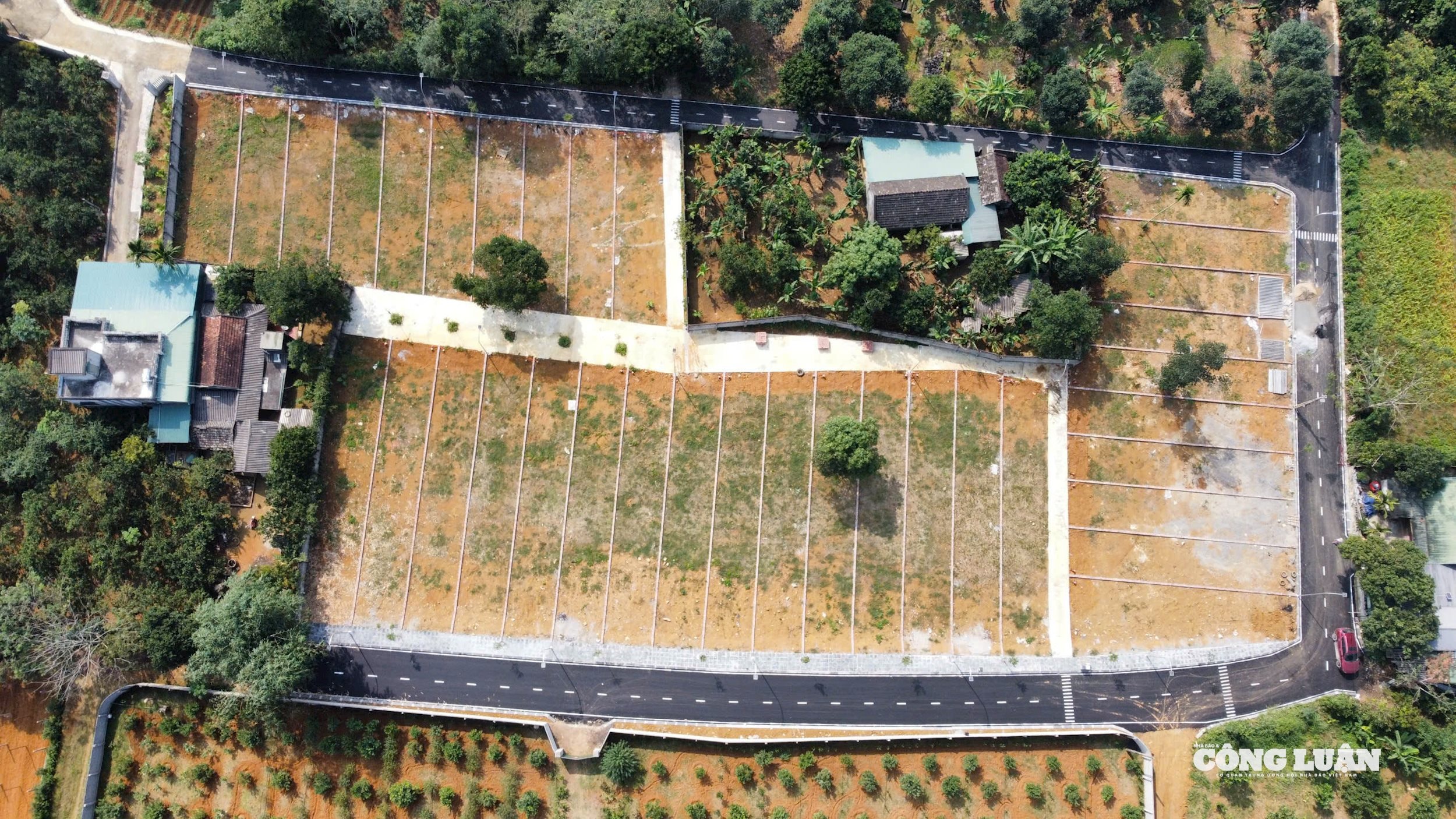 phan-lo-ban-nen-phu-tho-1.jpg