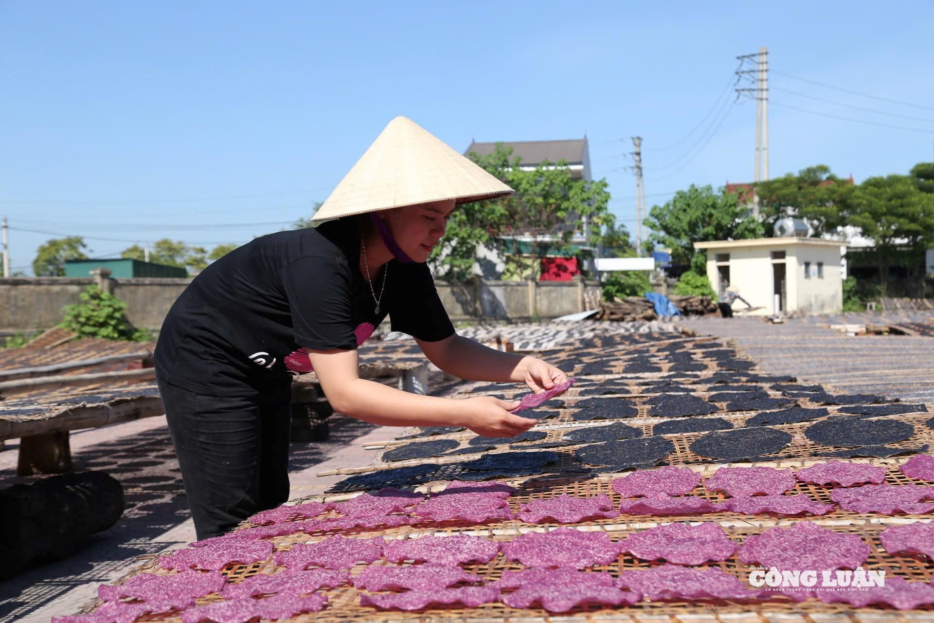 Chị Nguyễn Thị Nhàn đã “tô màu” cho bánh đa truyền thống