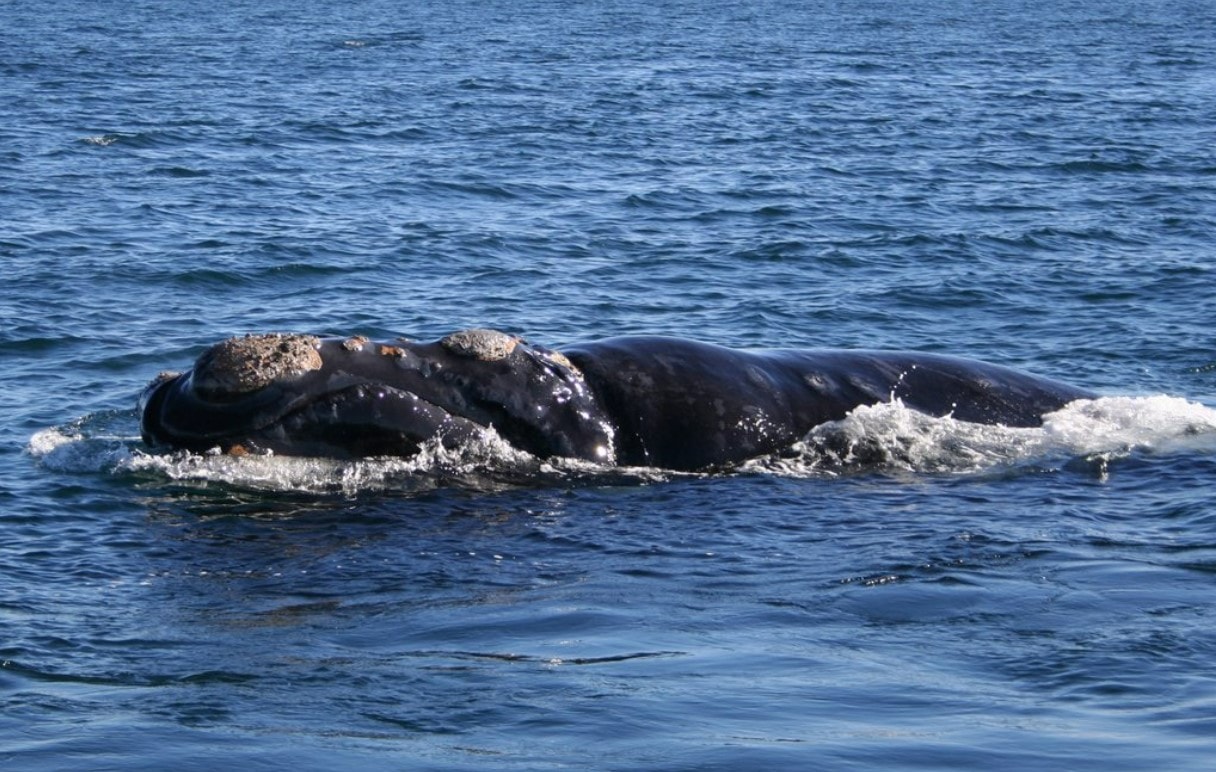 Screenshot 2026-01-06 223551