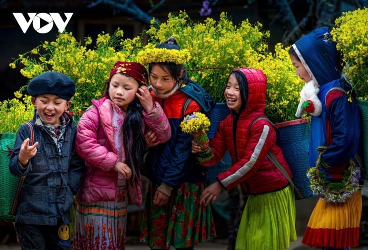 Trẻ em vùng cao mang theo những gùi hoa cải vàng rực rỡ sau lưng.