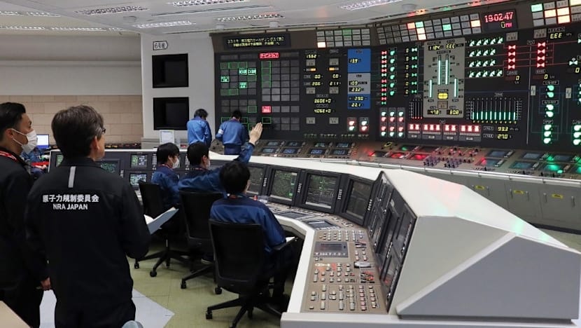 日本は世界最大の原子力発電所の再稼働を一時停止した。