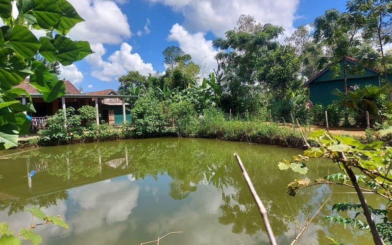 Chuyển đất vườn, ao sang đất ở: Chỉ được áp dụng mức tính tiền ưu đãi một lần - ảnh 1 Hình ảnh: Chuyển đất vườn, ao sang đất ở: Chỉ được áp dụng mức tính tiền ưu đãi một lần số 1