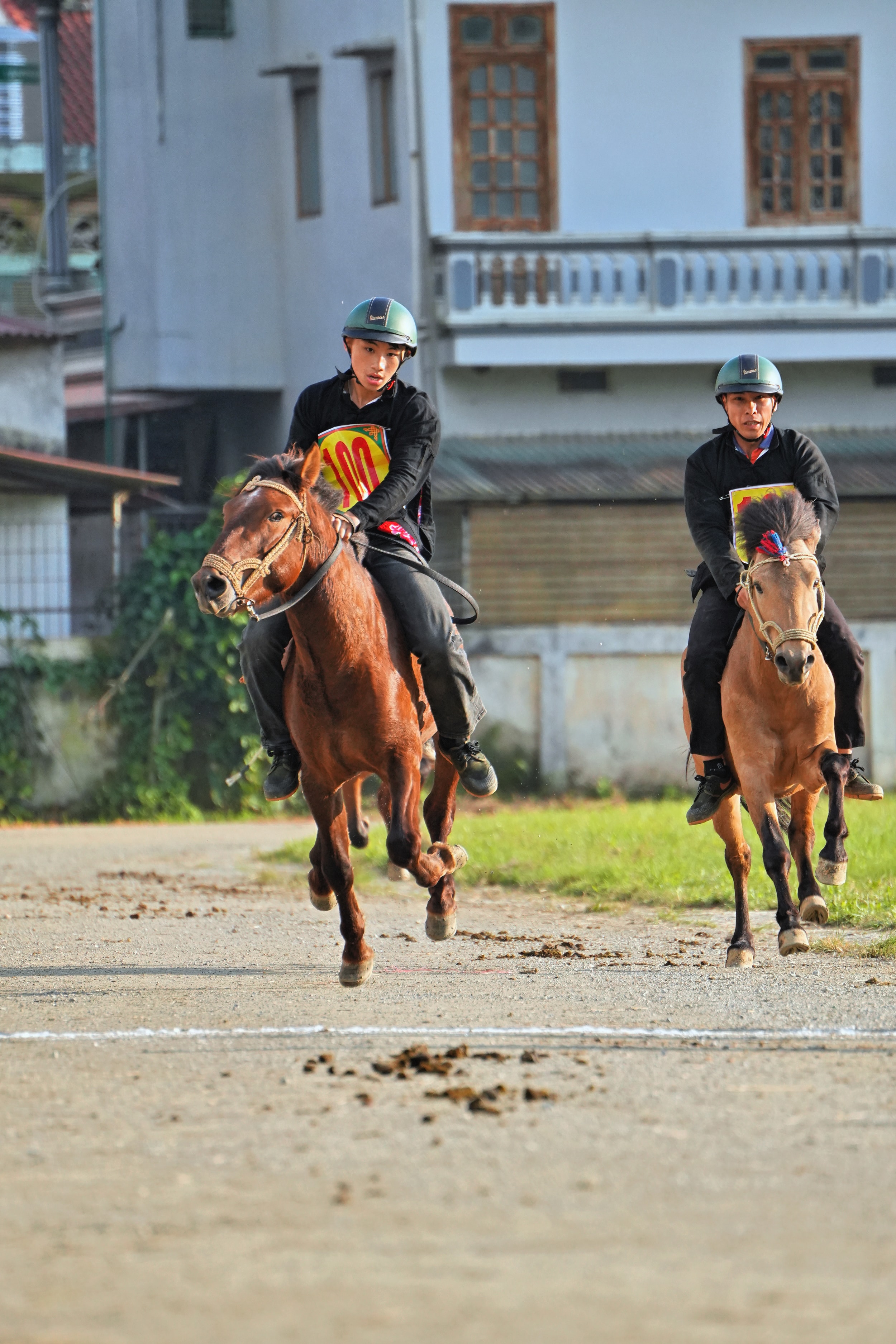 ចាប់តាំងពីខែវិច្ឆិកា ឆ្នាំ២០២៥ មក ការប្រណាំងសេះប្រពៃណីបាកហាត្រូវបានធ្វើឡើងជារៀងរាល់សប្តាហ៍ ដោយទាក់ទាញភ្ញៀវទេសចរមួយចំនួនធំ។ រូបថត៖ លី សឿង។