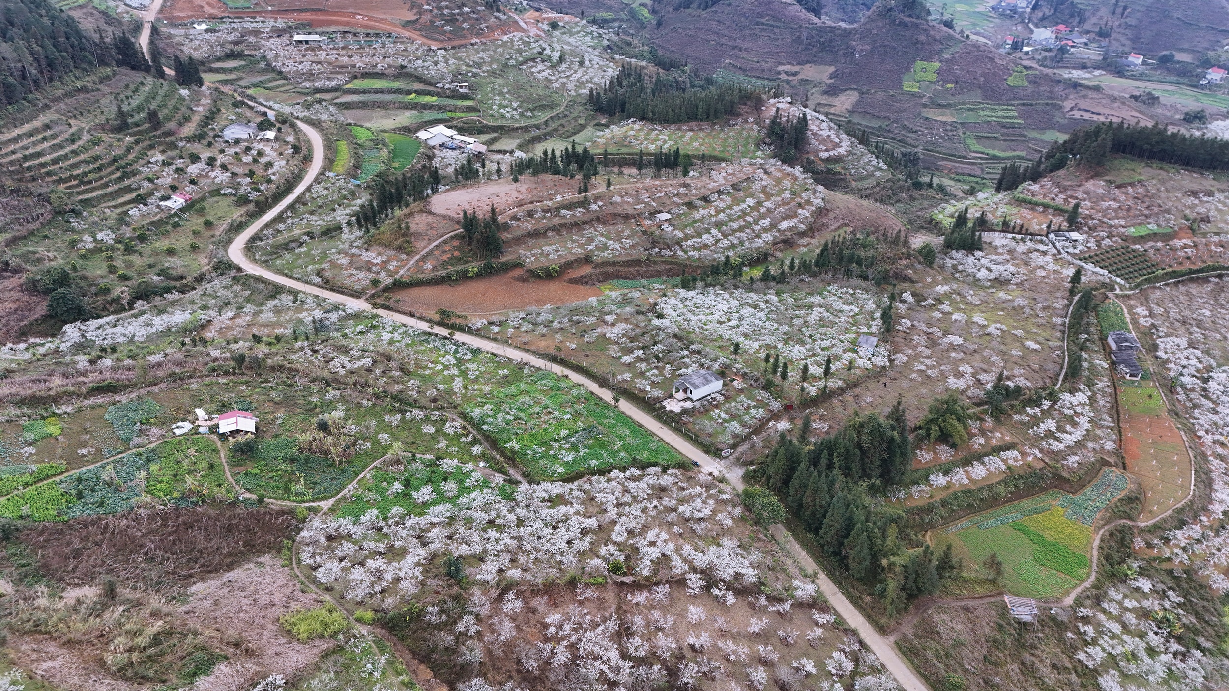 រូបភាពទី 2