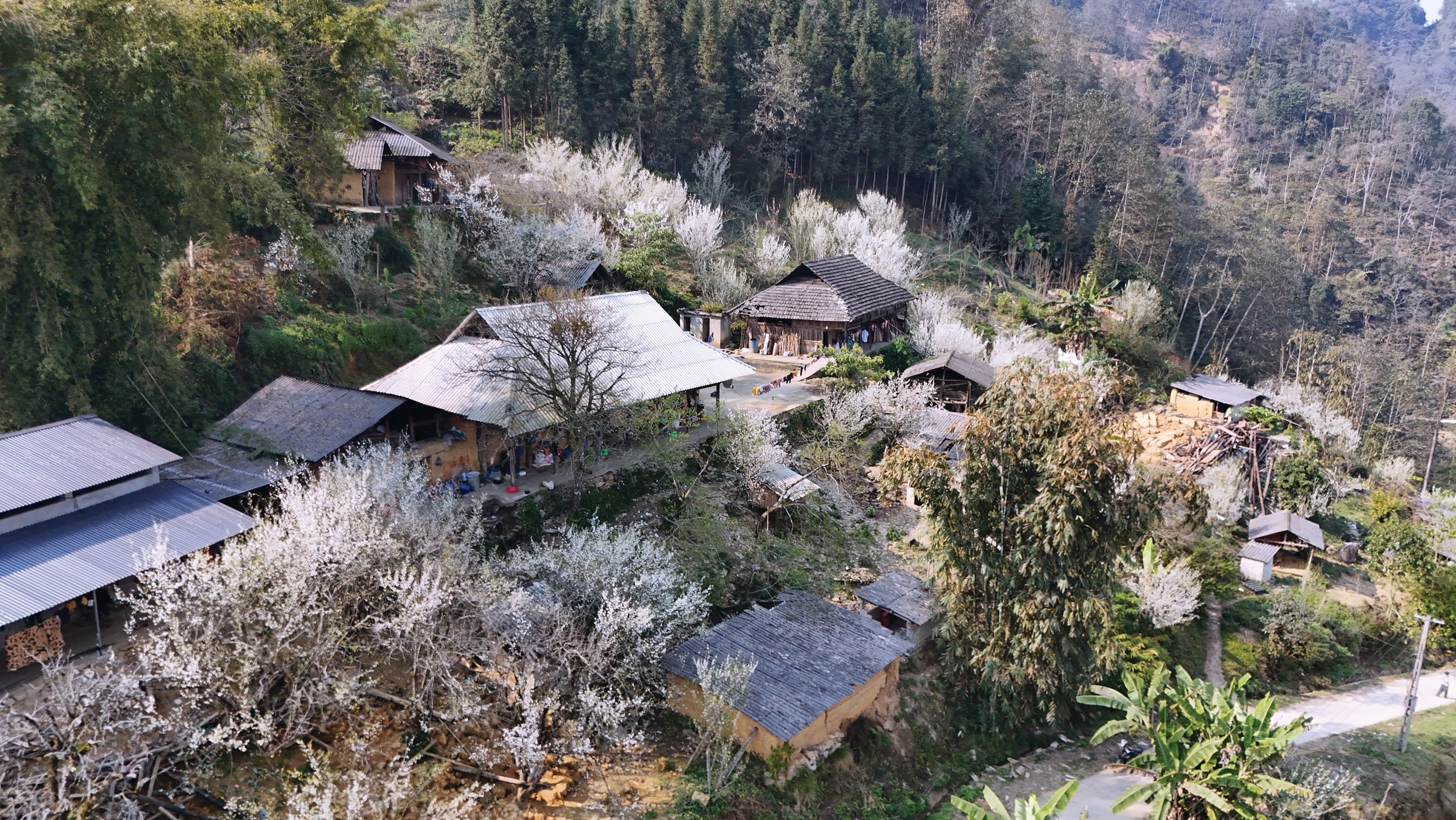 រូបថតទី 3 (1)