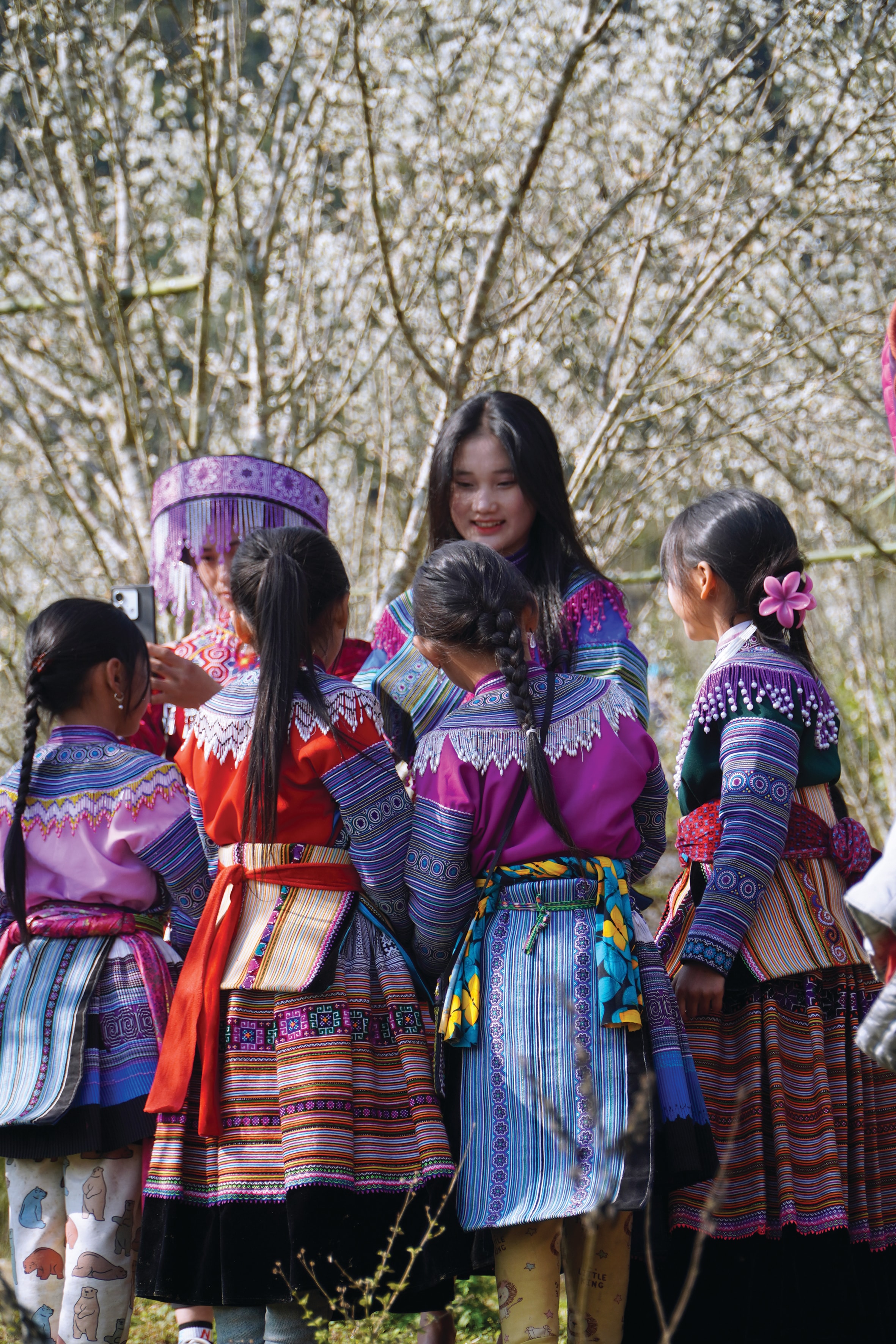 រូបថតទី 5 (1)