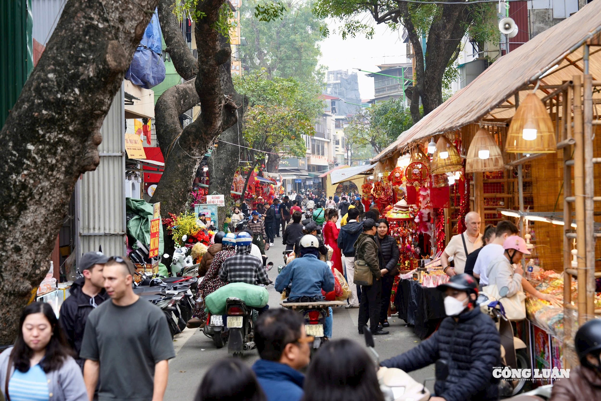 إن سوق الزهور الربيعية في الحي القديم لعام 2026 ليس مجرد مكان لشراء الزهور ونباتات الزينة لعيد رأس السنة القمرية (تيت)، بل يجري تطويره أيضاً كمساحة ثقافية مجتمعية.