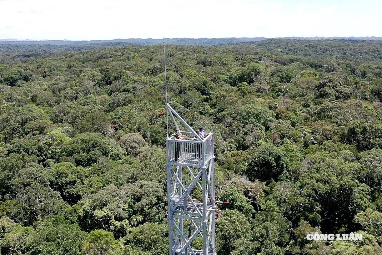 13. Hàng trăm cán bộ, nhân viên bảo vệ rừng thực hiện nhiệm vụ quản lý, bảo vệ Khu dự trữ sinh quyển Cao nguyên Kon Hà Nừng (Ảnh Phạm Hoàng).