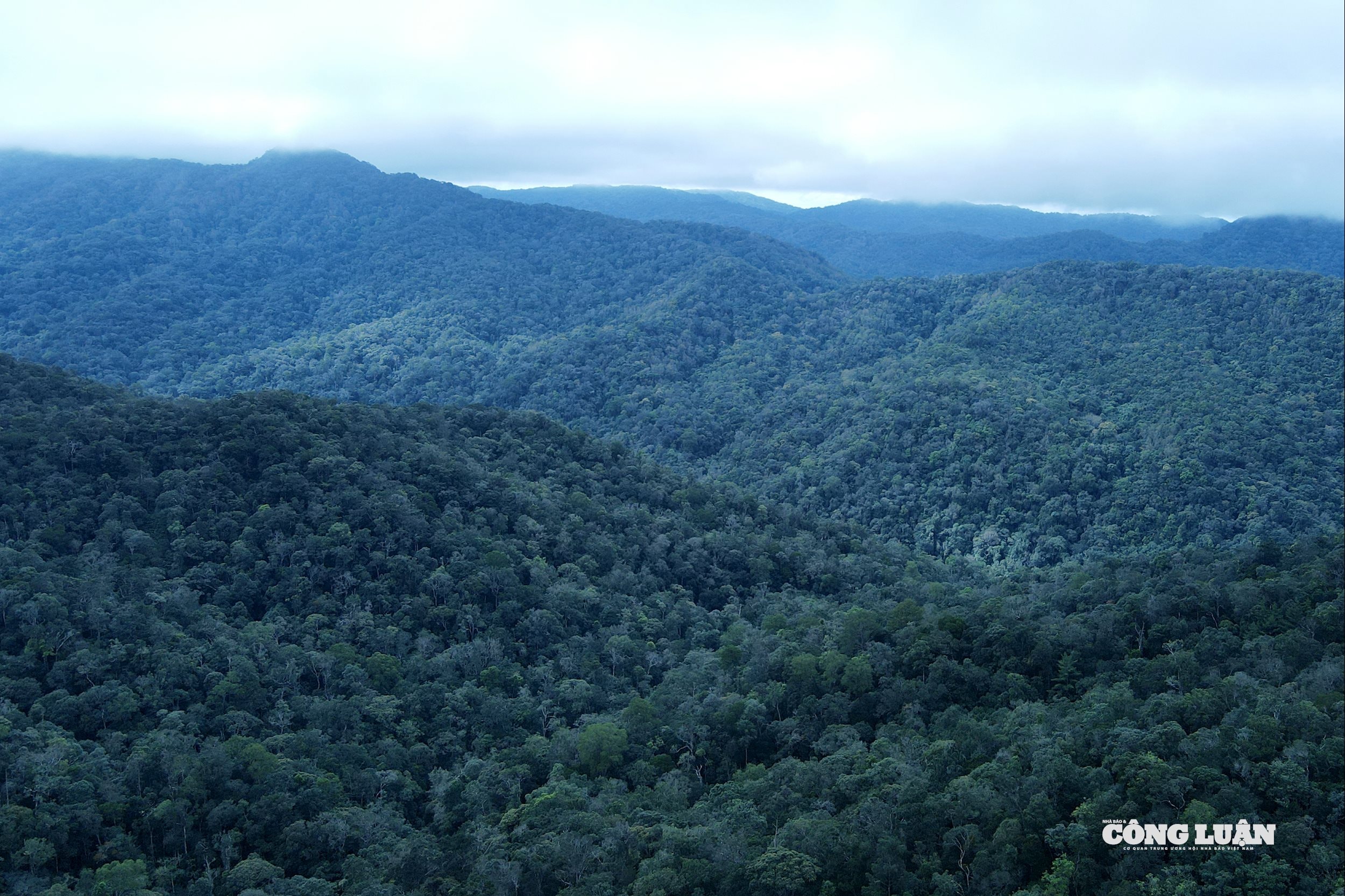 14. Vùng lõi Khu sinh quyển Kon Hà Nừng 2 (Ảnh Phạm Hoàng).