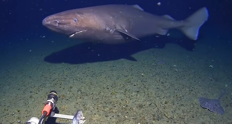 スクリーンショット 2026-02-18 205445