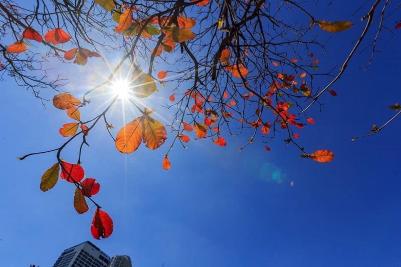 Dự báo thời tiết ngày 4/3: TP HCM nắng nóng 32 độ