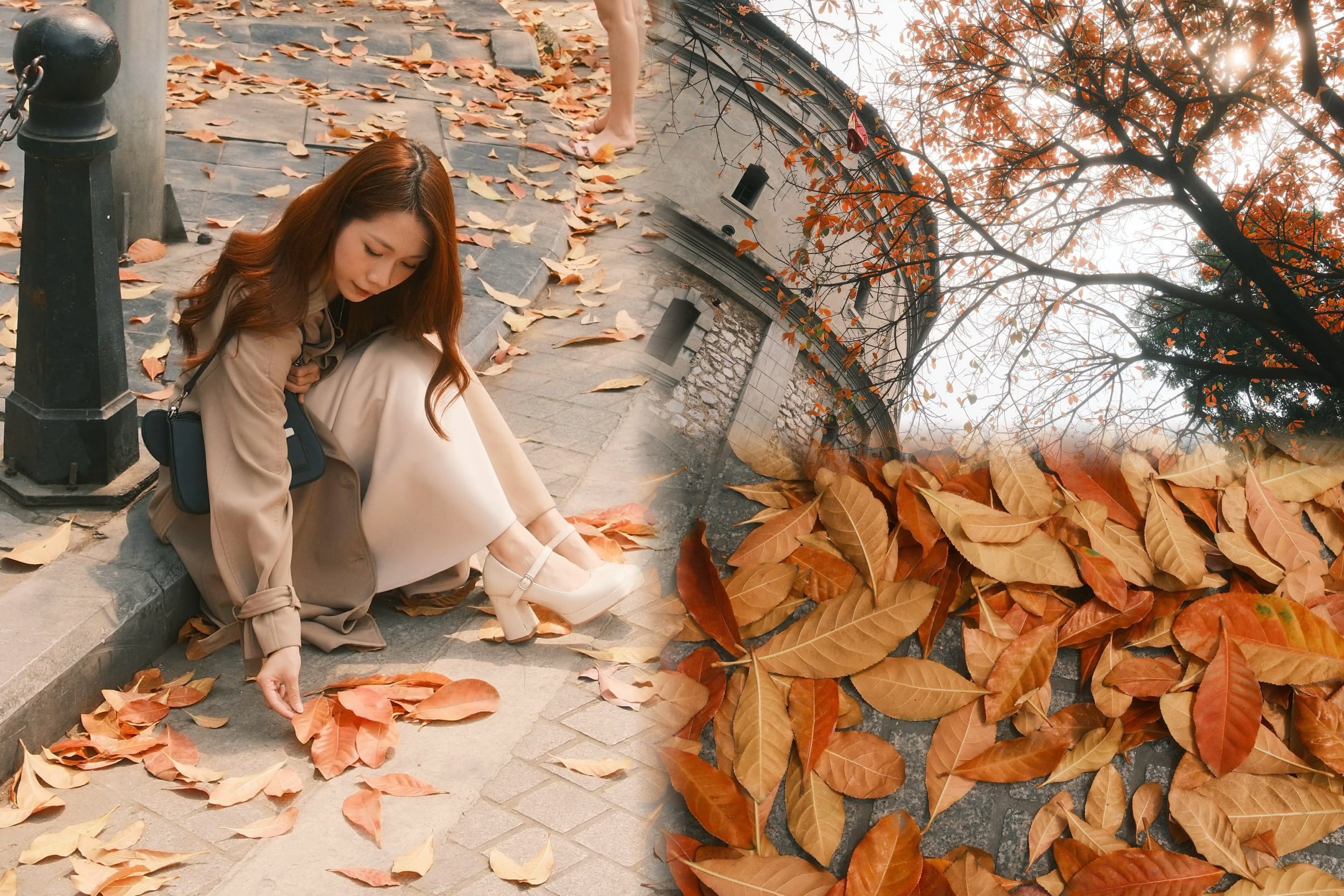 Hà Nội: Bốt Hàng Đậu mùa thay lá mà ngỡ như trời Âu