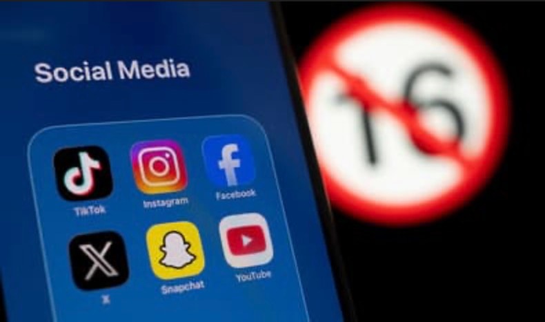 Screenshot 2026-03-28 at 13.16.53