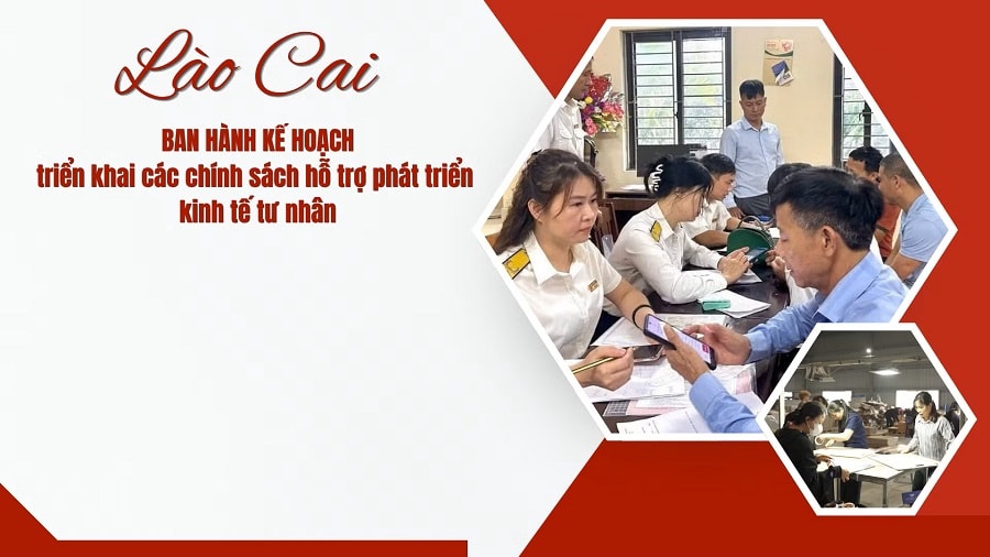 Lào Cai triển khai nhiều chính sách hỗ trợ phát triển kinh tế tư nhân