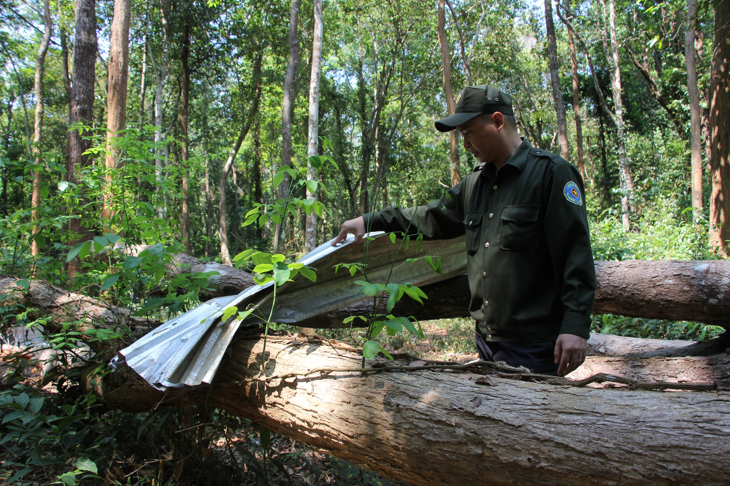 “Ăn rừng, ngủ lán” canh giữ “báu vật sống” giữa đại ngàn Tây Nguyên
