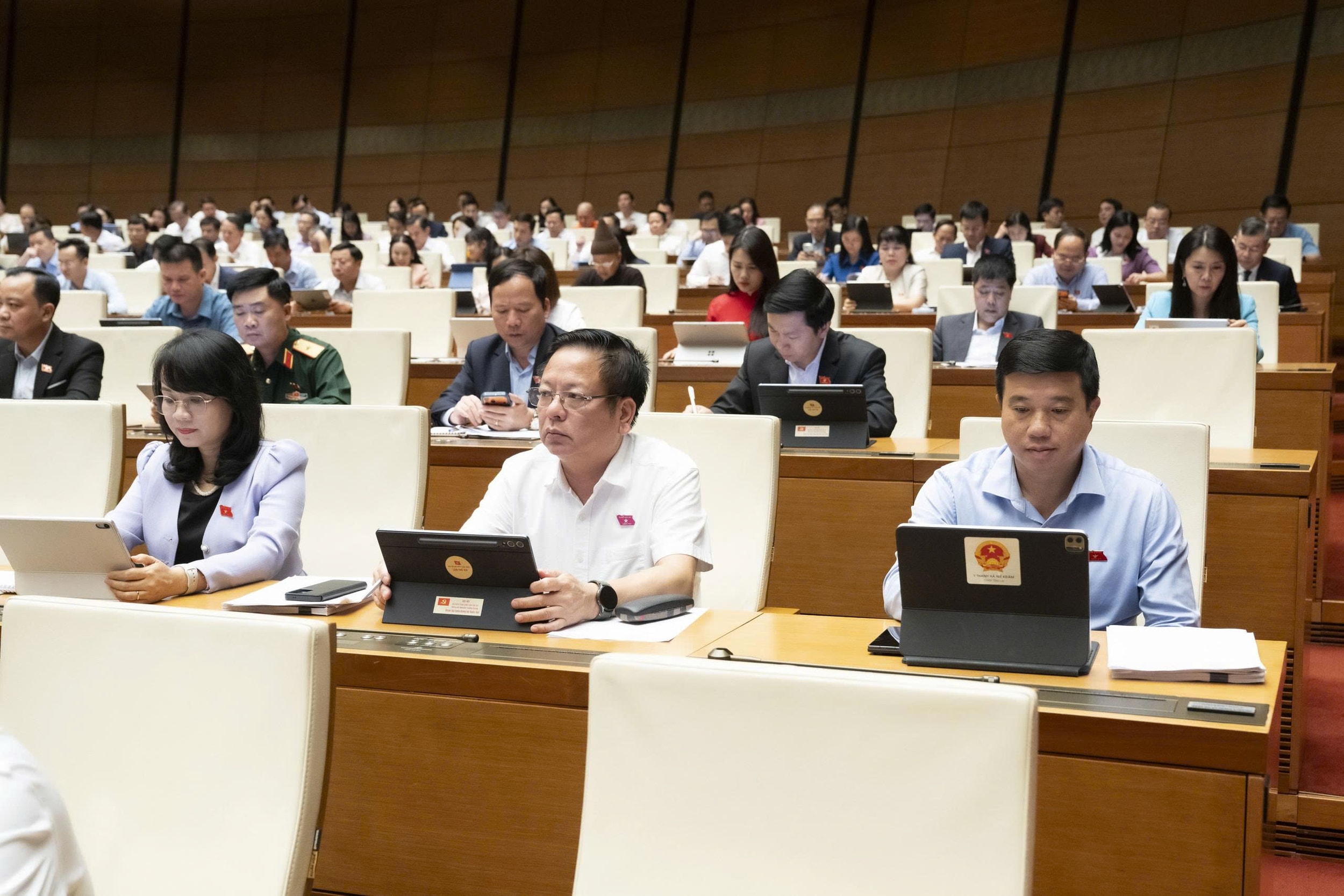 Các đại biểu dự phiên h