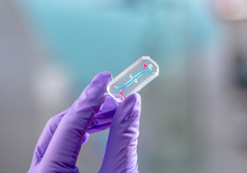 Il progetto AVATAR utilizzerà chip di organi per studiare gli effetti dell'aumento delle radiazioni e della microgravità sulla salute umana.