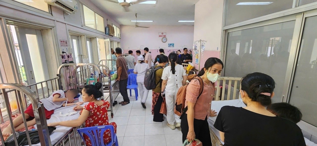 Số học sinh ngộ độc tại TP HCM tăng lên 184, xác định có vi khuẩn Salmonella