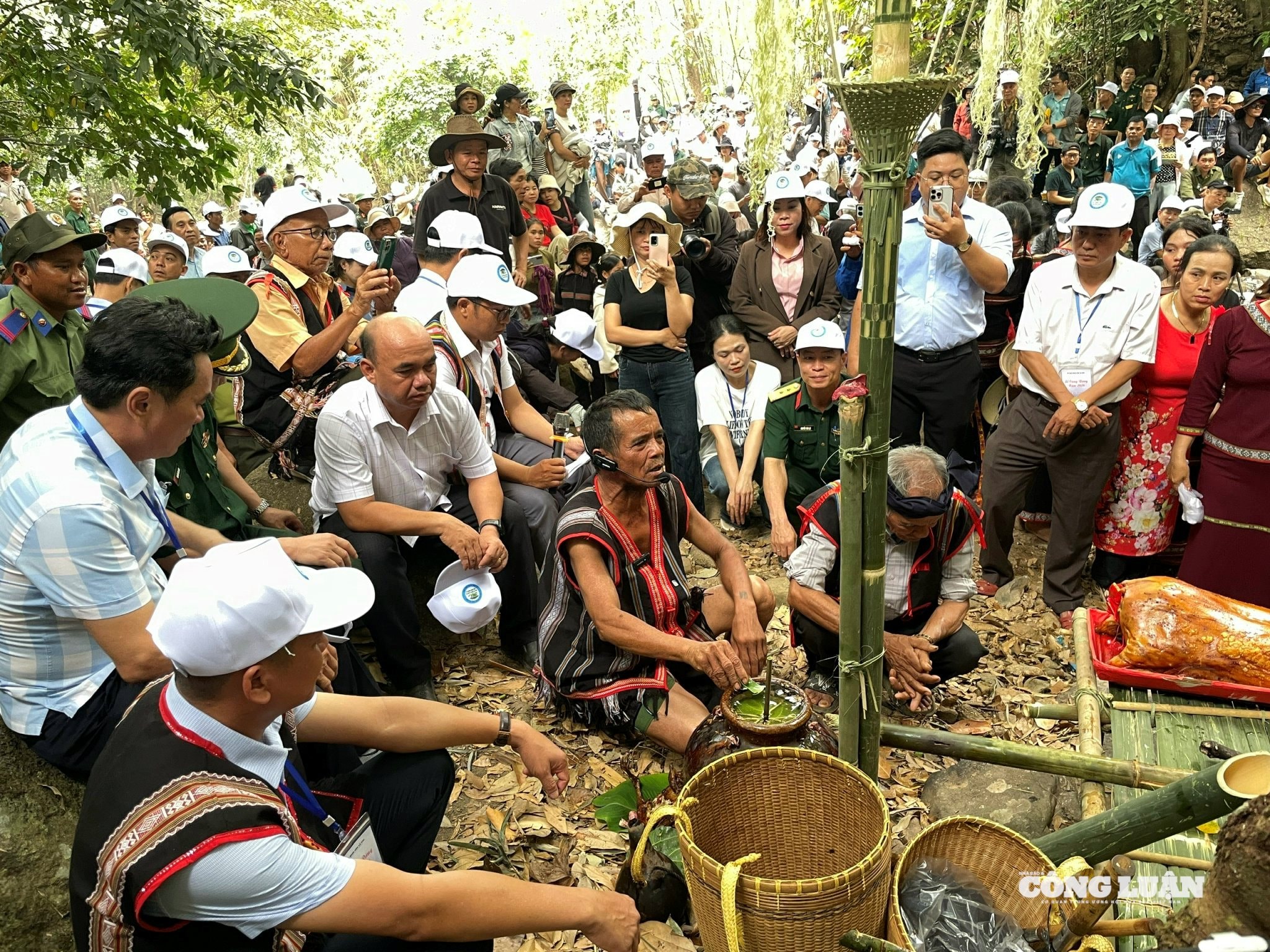 Gia Lai: Độc đáo nghi lễ cúng rừng của người Jrai