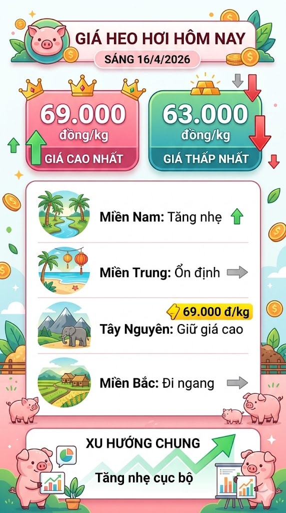 giaheohoi164.jpg