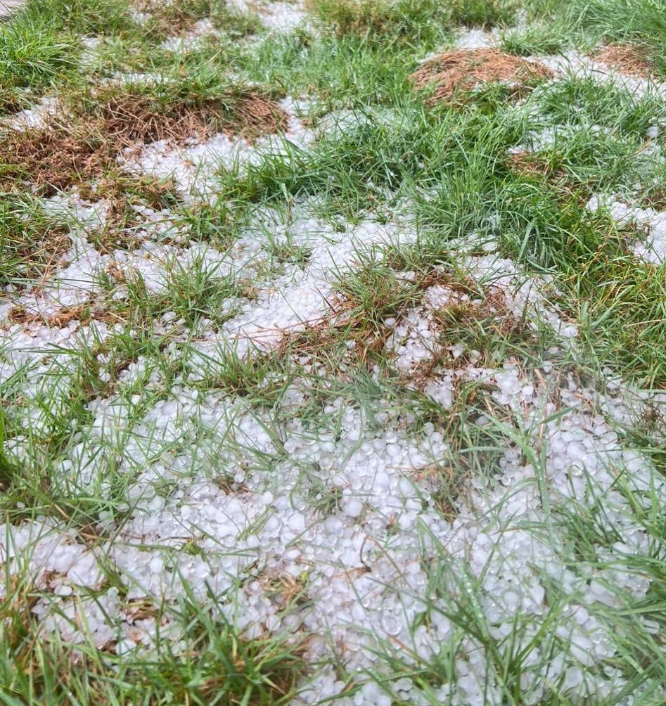 Quảng Ngãi: Mưa đá dồn dập phủ trắng mặt đất, nhiều ha cây trồng bị hư hại