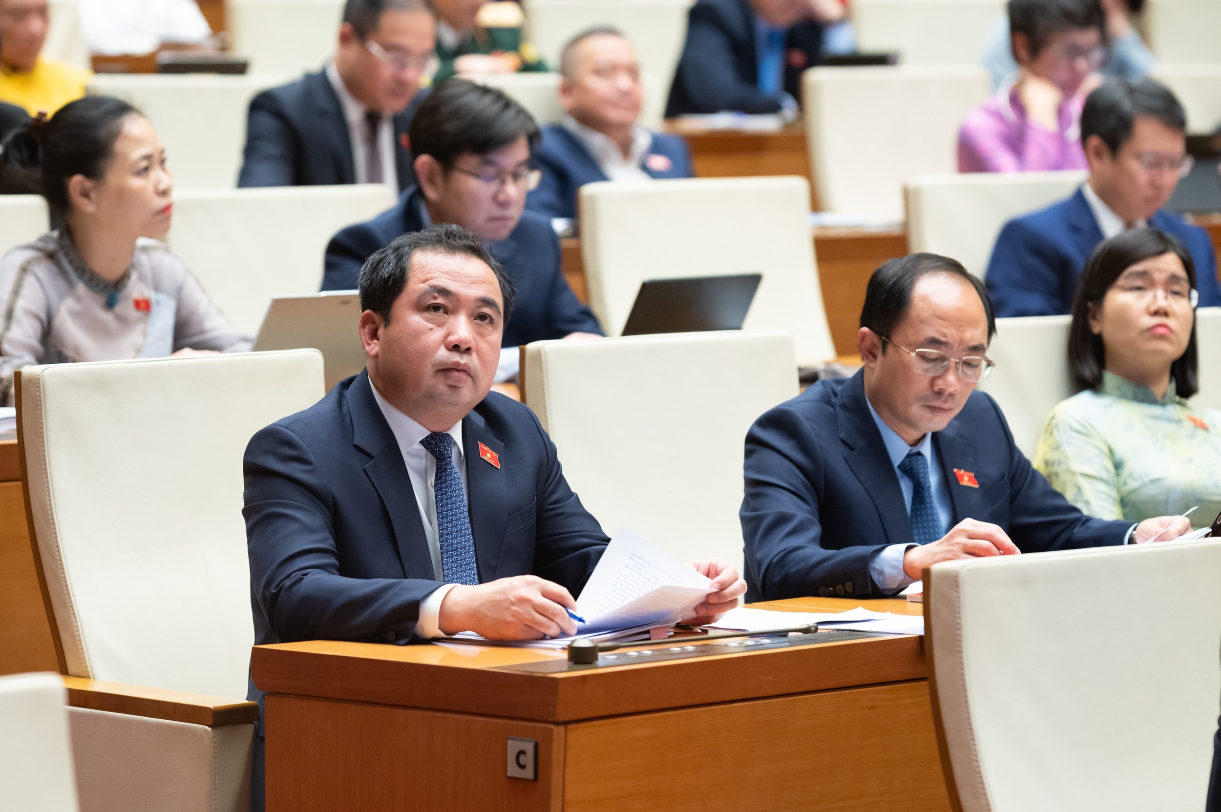 Các đại biểu Quốc hội dự phiên họp.