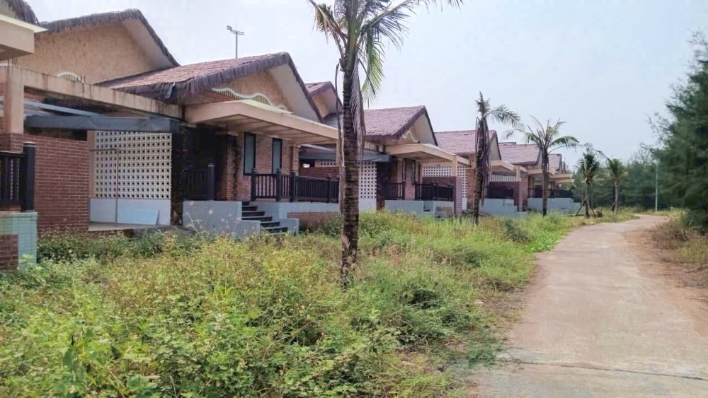 Anh 1 (3)
