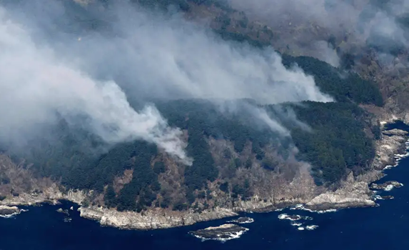 Nhật Bản huy động 1.400 lính cứu hỏa dập cháy rừng