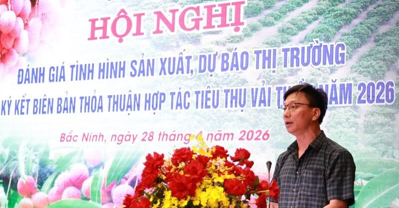 a-quang-08535242.jpg
