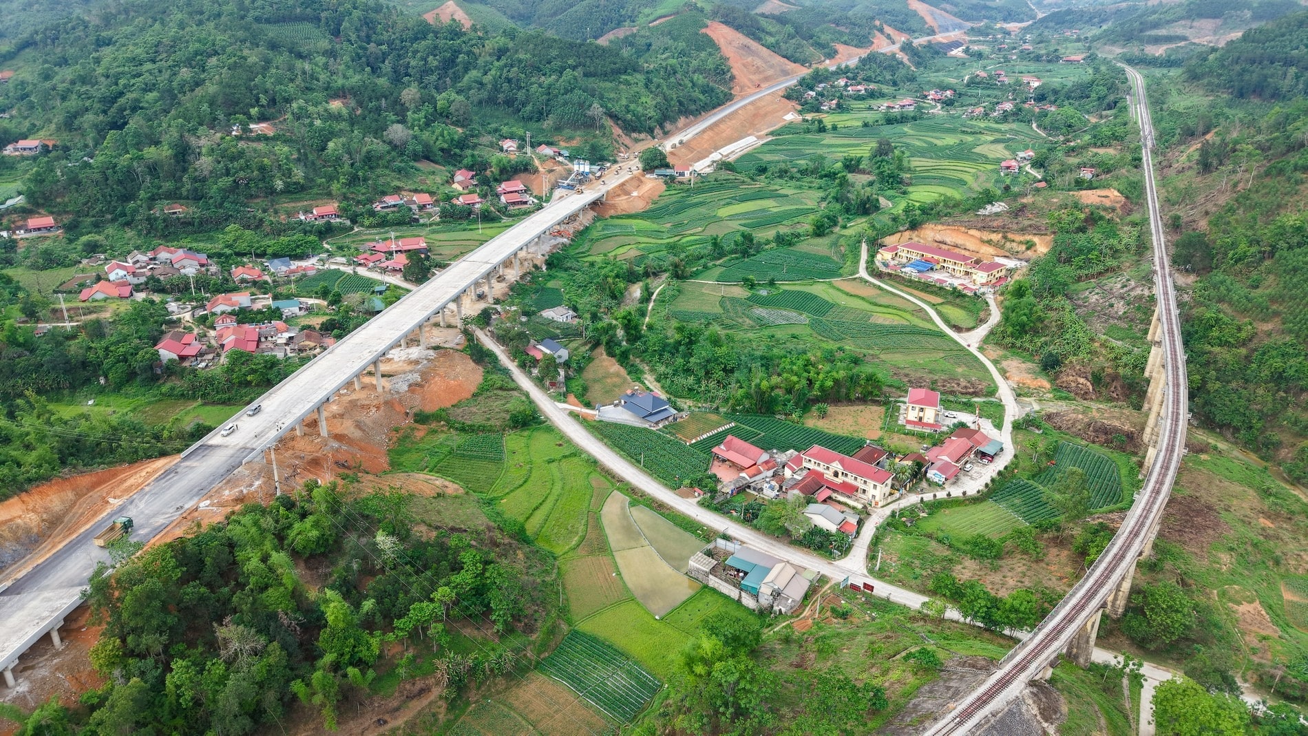 hữu nghị