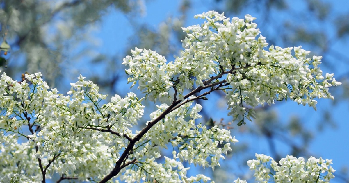 5%20%c4%91%e1%bb%8ba%20%c4%91i%e1%bb%83m%20check-in%20hoa%20s%c6%b0a%20 ...