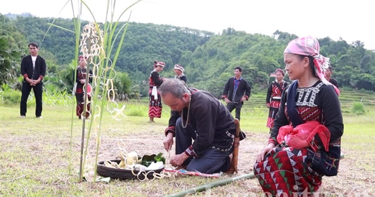 T%e1%ba%bft%20c%c6%a1m%20m%e1%bb%9bi%20c%e1%bb%a7a%20ng%c6%b0%e1%bb%9di ...