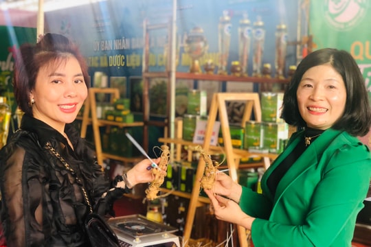 Kon Tum: Hiến kế, hoạch định chiến lược kết hợp phát triển sâm Ngọc Linh và du lịch