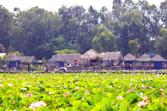 Ứng dụng công nghệ 4.0 để phát triển du lịch thông minh tại Đồng Tháp