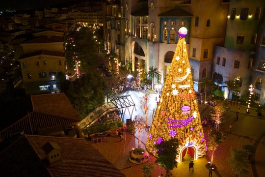 Chiêm ngưỡng cây thông ngàn sao cao 24m thắp sáng Thị trấn Hoàng Hôn mùa lễ hội