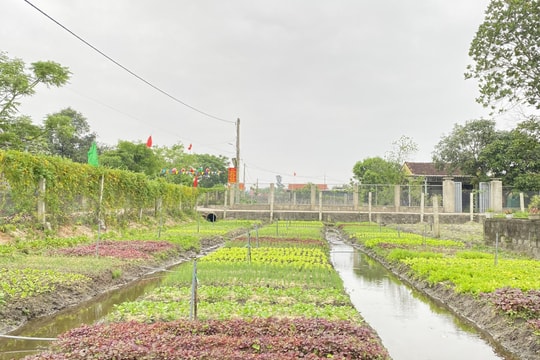 Xây dựng nông thôn mới ở Quảng Bình ngày càng đi vào chiều sâu và bền vững