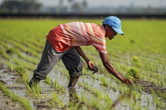 El Nino suy yếu, La Nina có thể xuất hiện vào nửa cuối năm 2024
