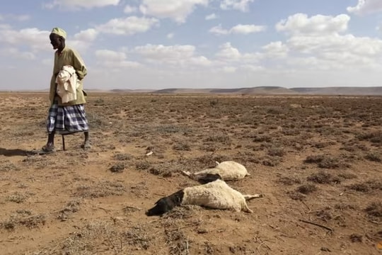 Liên hợp quốc: El Nino suy yếu nhưng sẽ giữ nhiệt độ cao