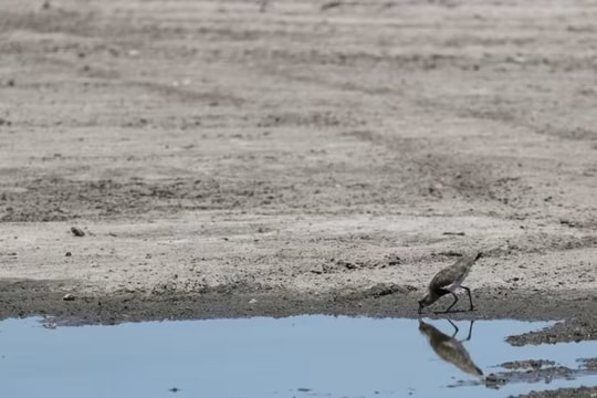 Liên hợp quốc: La Nina có thể giúp nhiệt độ hạ thấp trong năm nay